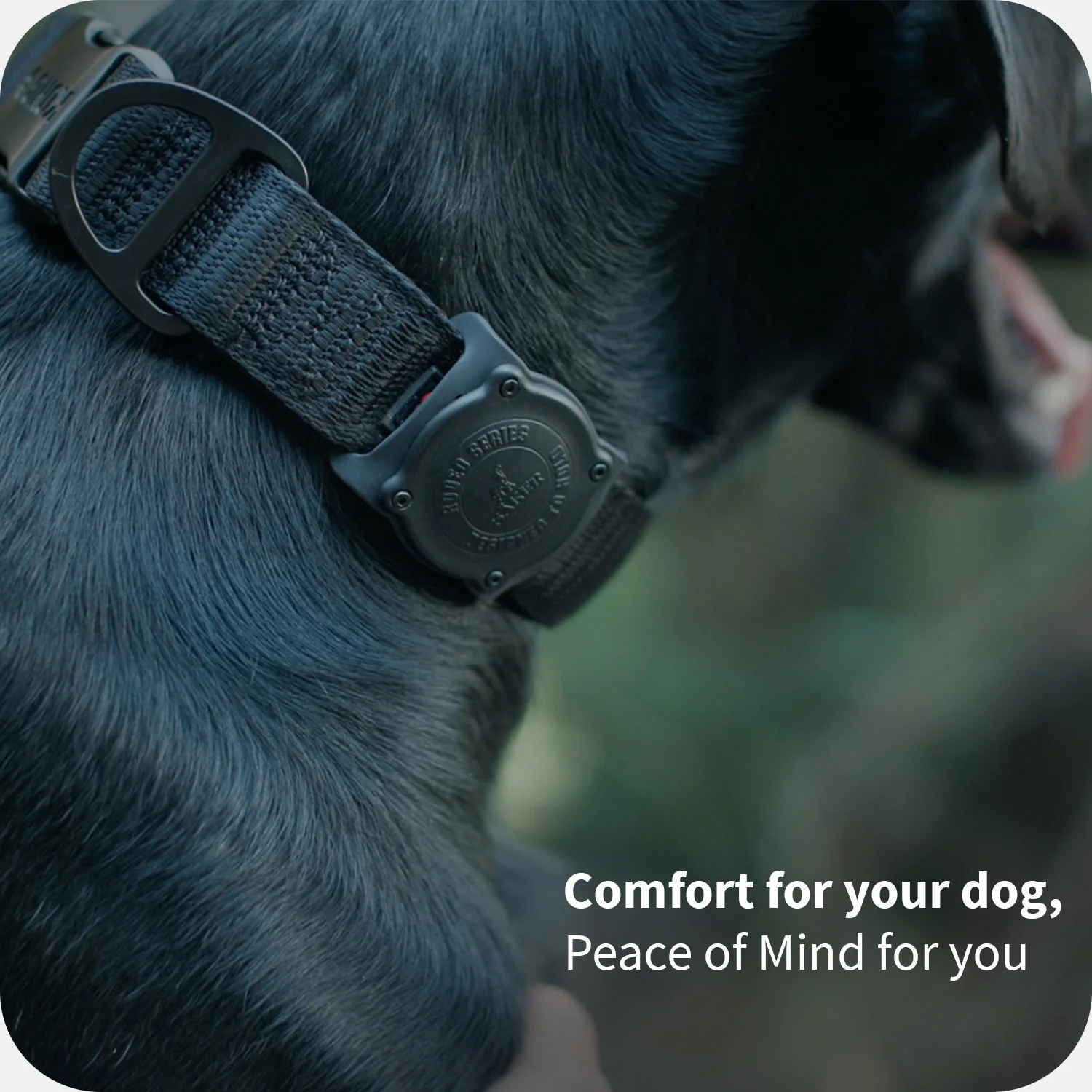 Rodeo™ AirTag Holder - Image 4