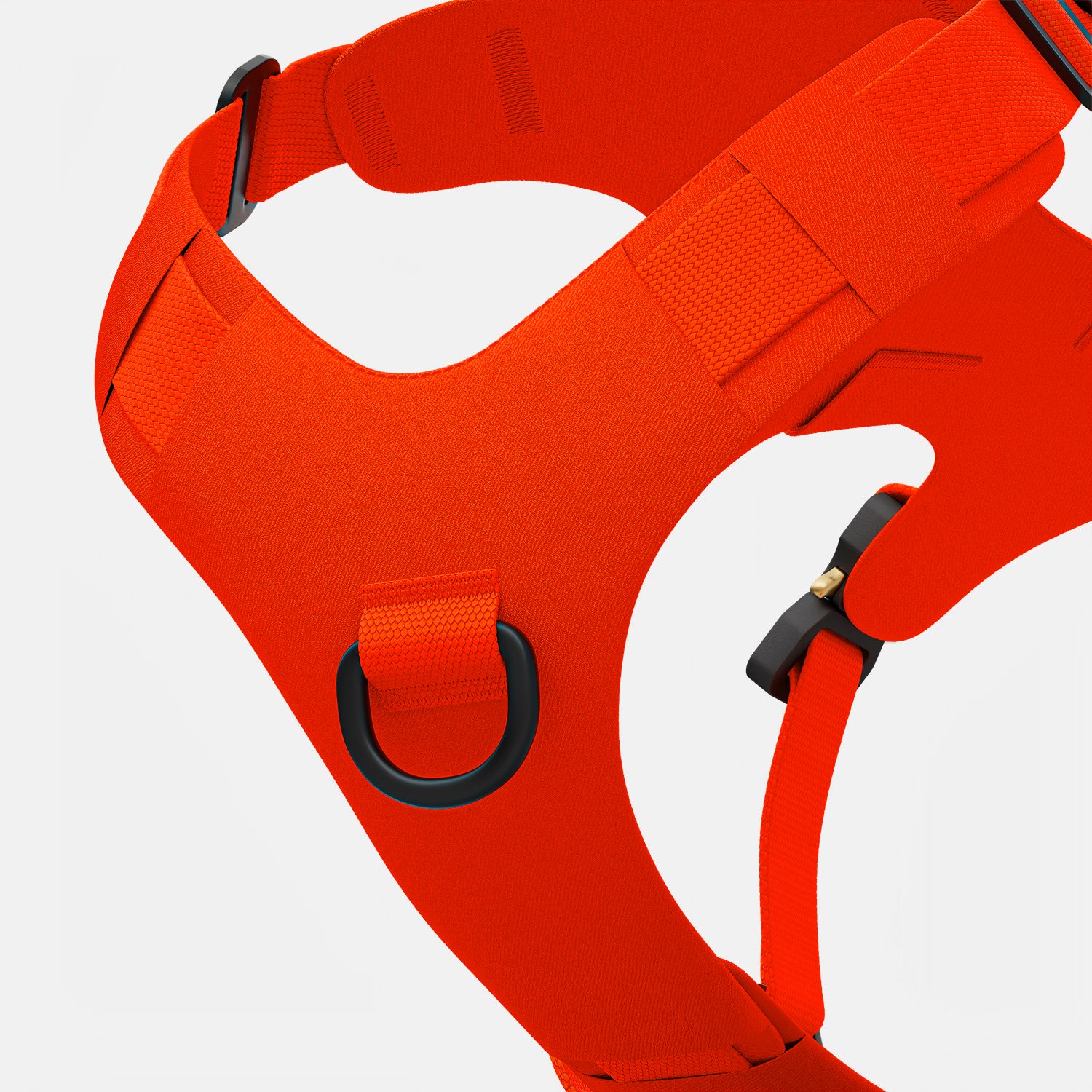 Bomber™ harness - Image 5