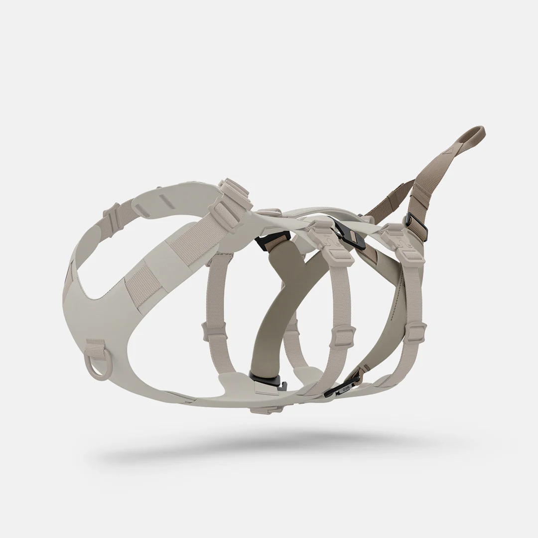 Traction 001 - Image 3