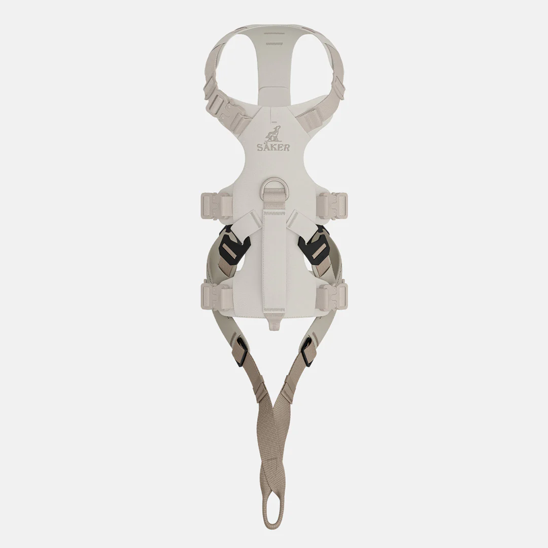 Traction 001 - Image 4