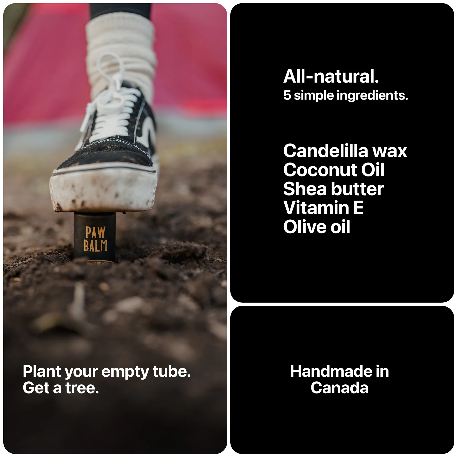 Dog Paw Balm - Image 6